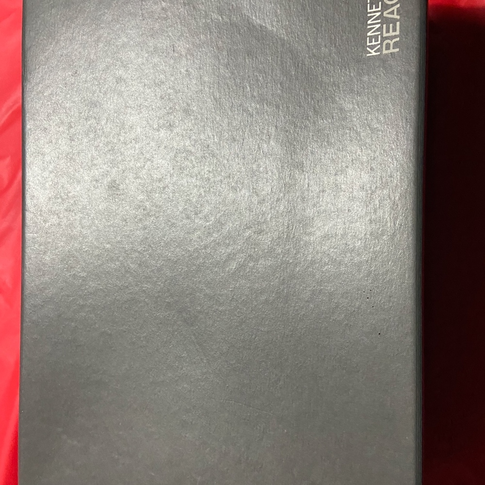 Silver Slides - Picture 3 of 3